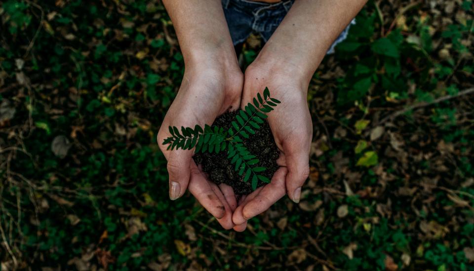 Une nouvelle « masterclass in sustainable finance »  en partenariat avec Solvay Business School et l'UNAMUR !